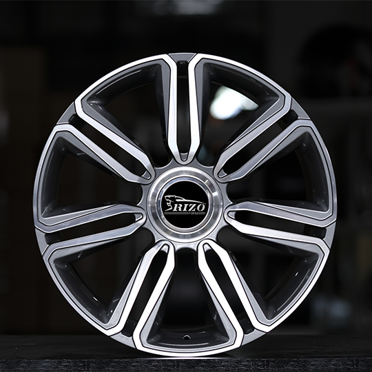 Llantas forjadas personalizadas 5695F para cualquier coche-1