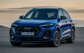 Audi SQ5 wheels
